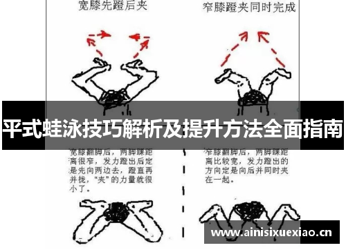 平式蛙泳技巧解析及提升方法全面指南