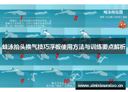 蛙泳抬头换气技巧浮板使用方法与训练要点解析
